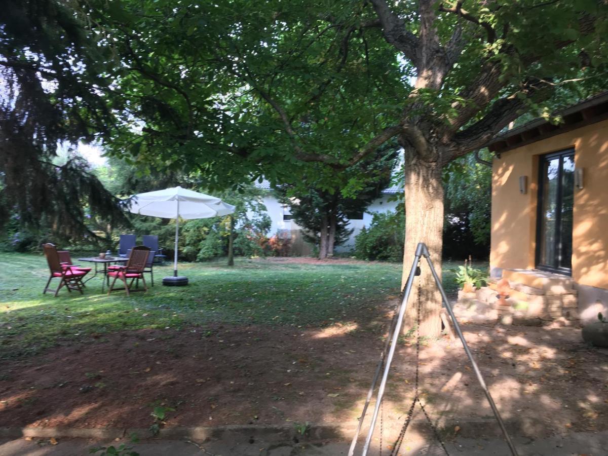 Biggi's Garten-finca * Flonheim