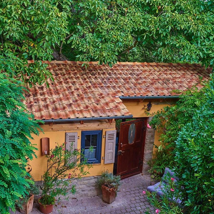 Biggi's Garten-finca